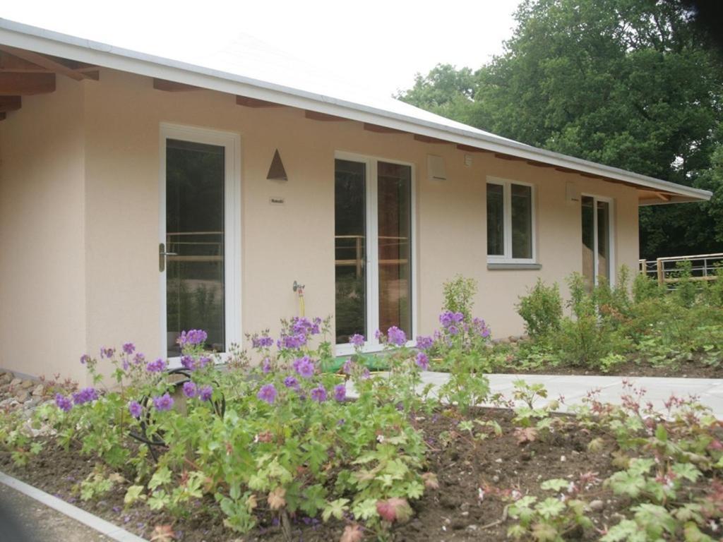 Apartament Oase Friedensthal Friedenstal Pokój zdjęcie