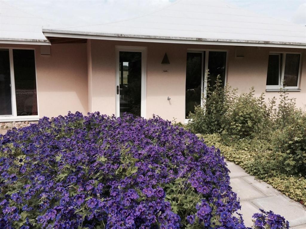 Apartament Oase Friedensthal Friedenstal Pokój zdjęcie